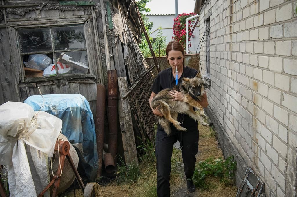Una volontaria recupera i cani rimasti nelle case allagate della regione di Kherson - Reuters