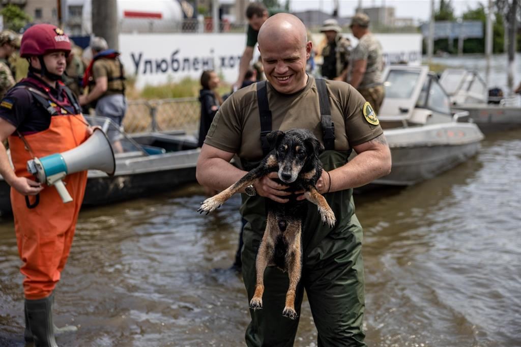un volontario delle squadre di soccorso tira fuori dall'acqua un cucciolo