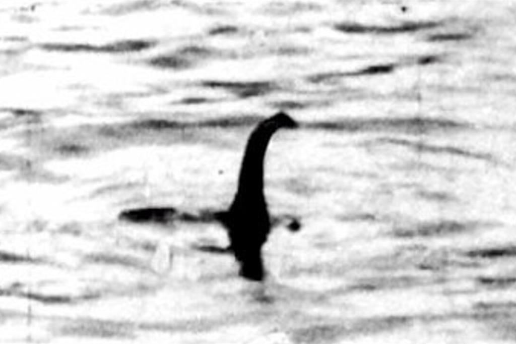 Una delle tante immagini dell'avvistamento mai provato di Nessie