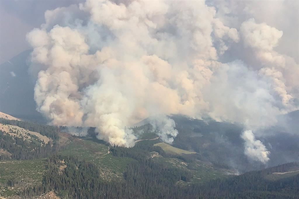 I fumi degli incendi salgono sopra il bosco ancora verde - Reuters