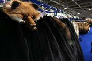 Il gruppo Aeffe annuncia lo stop all'uso delle pellicce