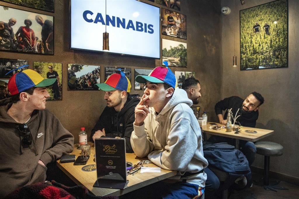 Un coffee shop ad Amsterdam. In questi locali sono leciti commercio e consumo di cannabis con elevati valori di Thc
