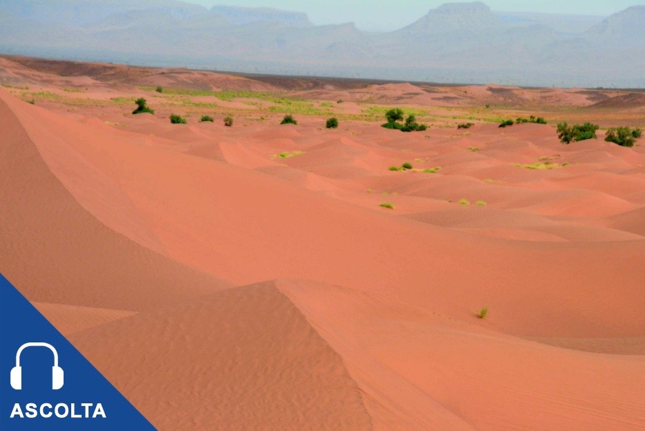 Sahara, i tre colori dell'universo di sabbia