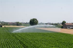 Acqua in gocce, sensori e satelliti: così la siccità cambia l'agricoltura