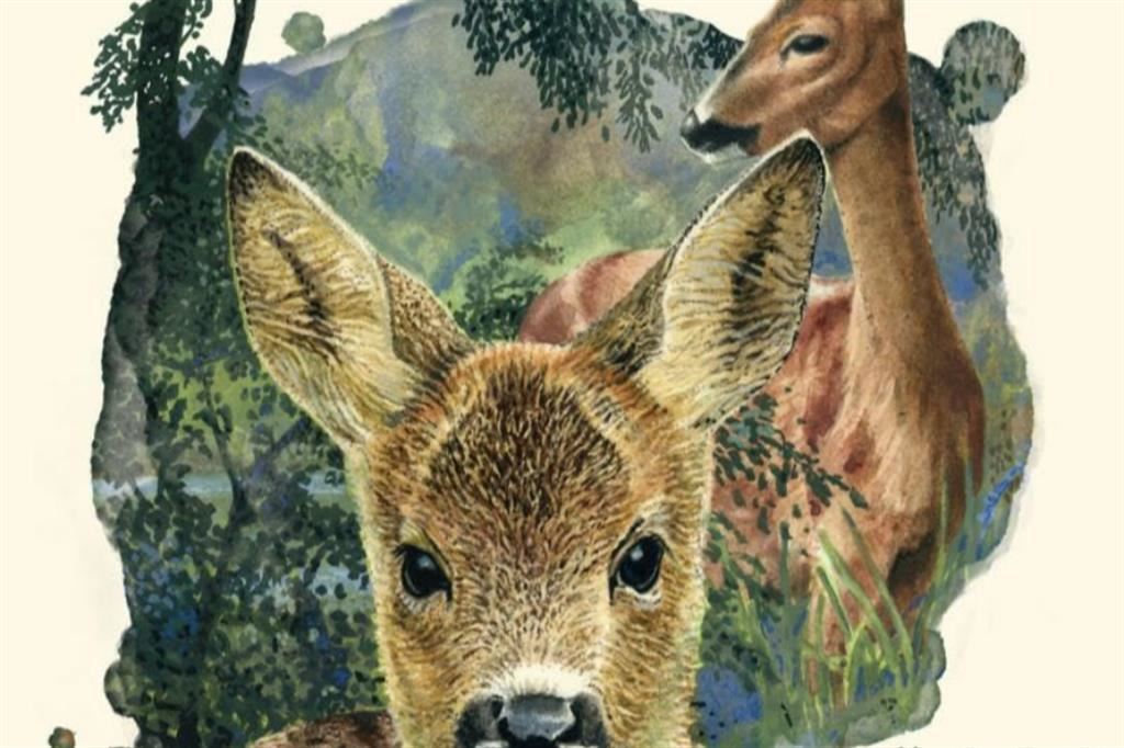 Un particolare della copertina del libro Bambi