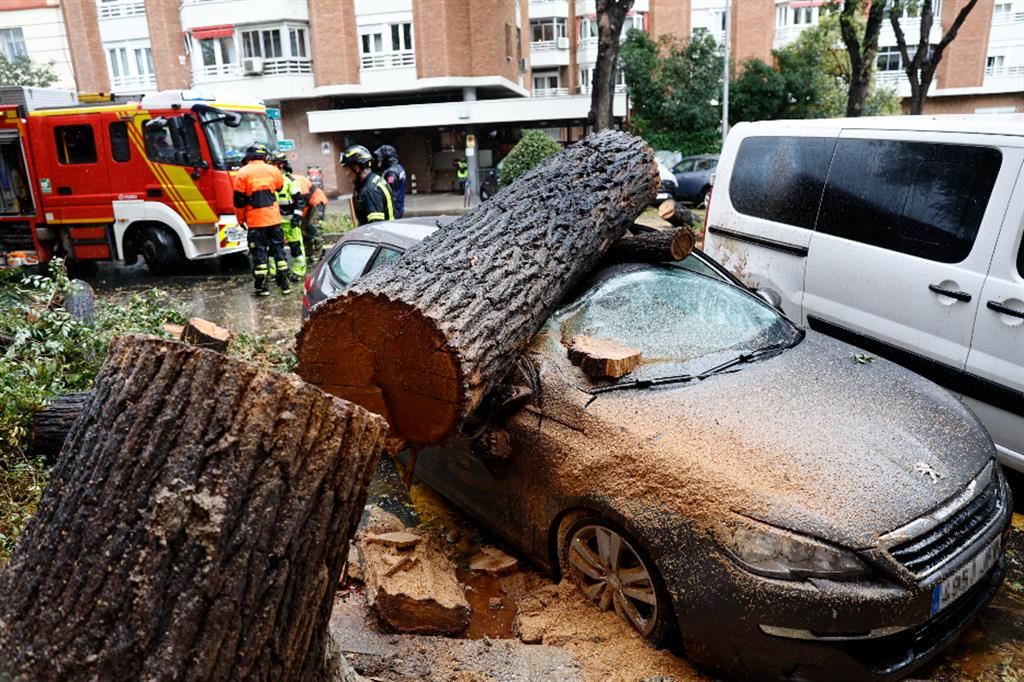 Un albero caduto su un'auto a Madrid - Ansa