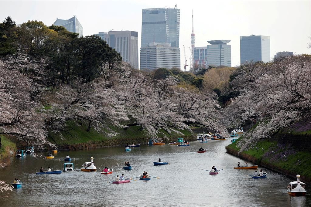 La festa della Fioritura dei ciliegi a Tokyo nel marzo scorso