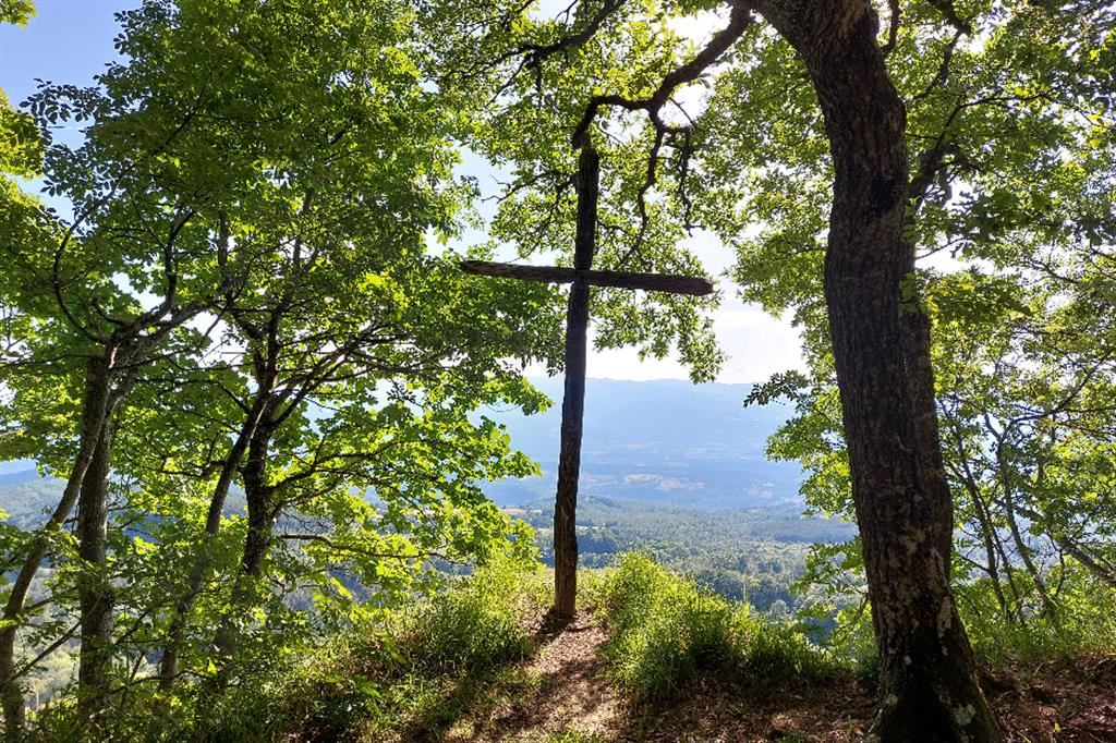 Una croce nella foresta della Verna