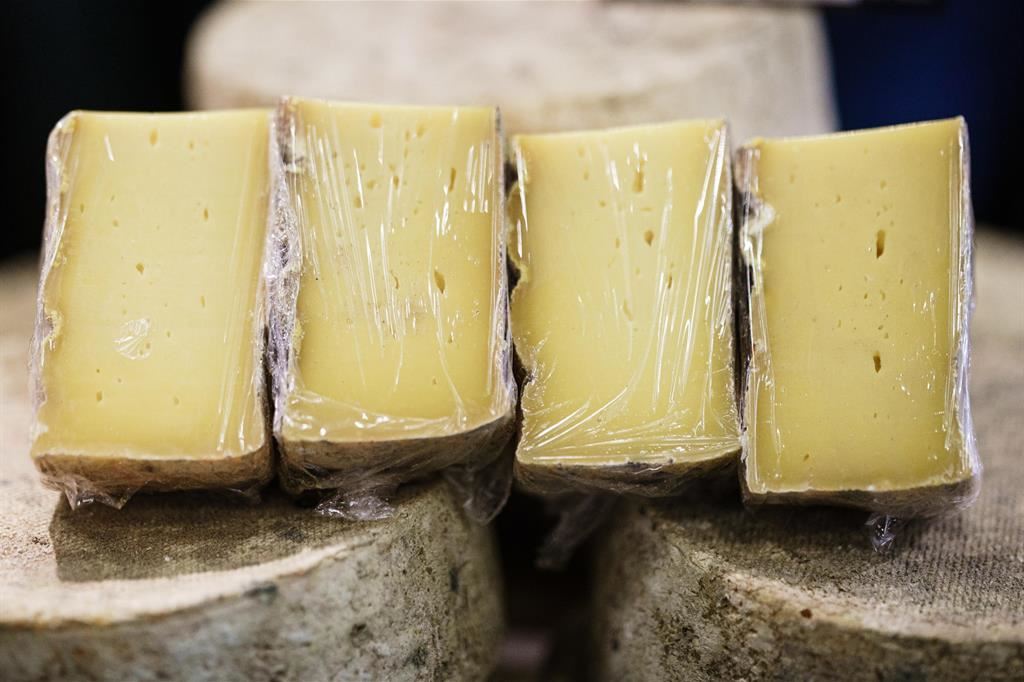 «Mangiare un formaggio è ormai un atto politico»