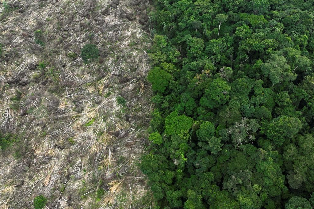 La deforestazione nello Stato brasiliano del Para
