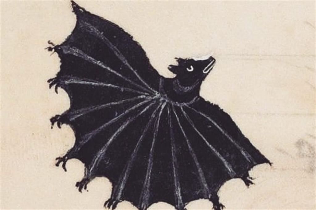 Illustrazione di un pipistrello dalla “De arte venandicum avibus” pubblicata nel 1241 alla corte di Federico II