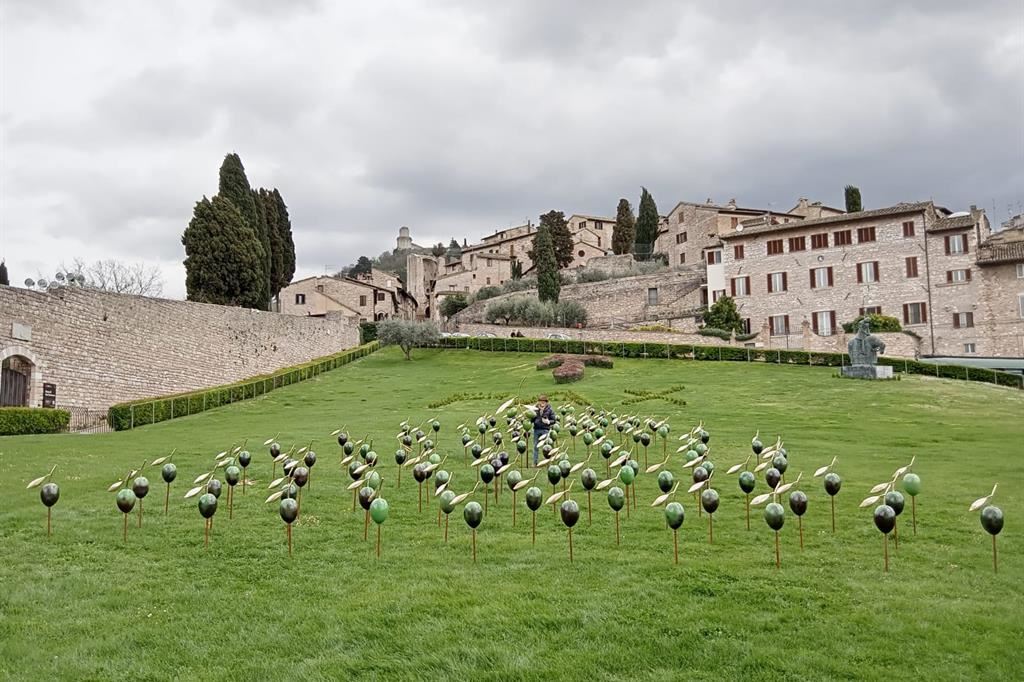Germinazione della pace, ad Assisi installazione scultorea di Giuseppe Carta