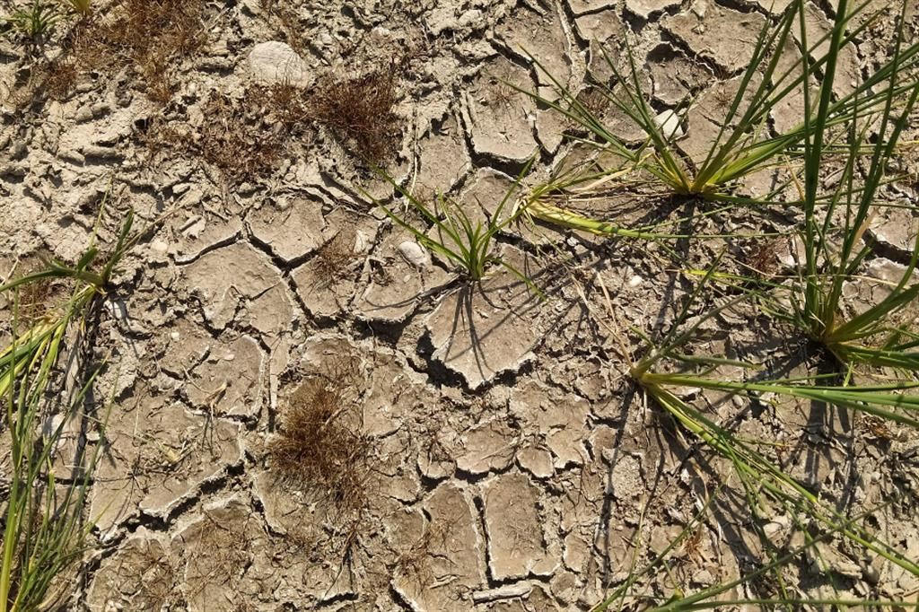 La sofferenza dei terreni in Lombardia: la terra ha sete, ma la semina slitta