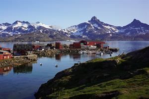 Groenlandia: la terra dei ghiacci sta diventando davvero verde