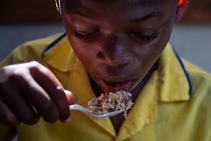 «Dagli Usa si esporta ad Haiti riso con arsenico e cadmio»