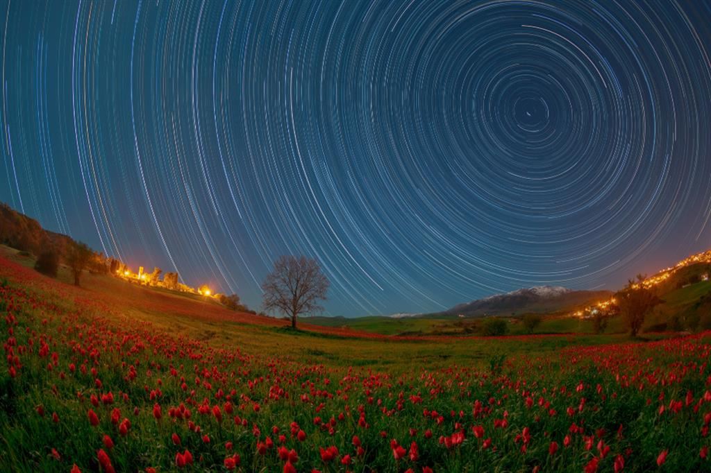 Le stelle danzano su un campo di tulipani selvatici attorno al Santuario della Madonna dell'Olio, Blufi, Sicilia