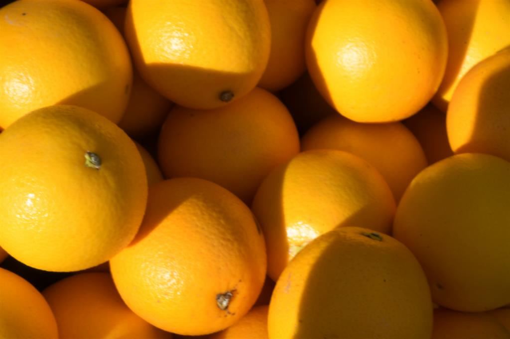 Sabato 27 gennaio la raccolta fondi Airc con le “arance della salute”