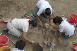 Resti di uomini e animali nella necropoli preromana di Verona
