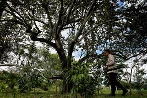 Ambiente, sarà in Colombia la Cop16 sulla biodiversità