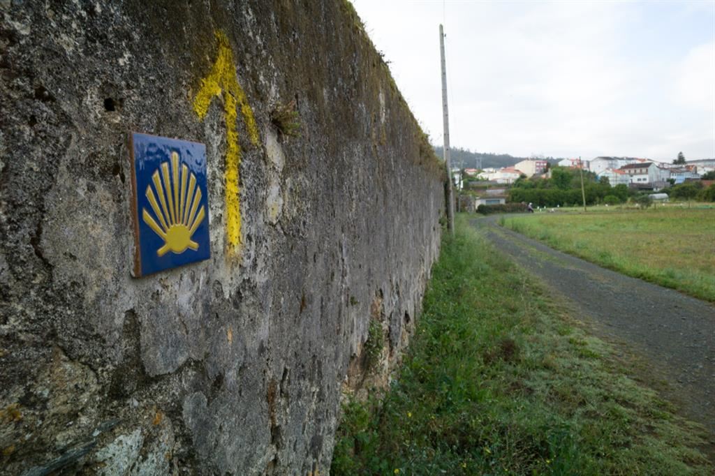 La conchiglia gialla che indica la strada per Santiago de Compostela
