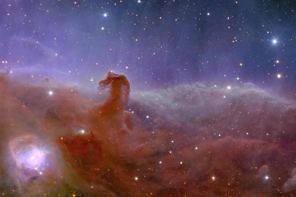 La nebulosa “Testa di cavallo” nella costellazione di Orione, uno scatto del telescopio Esa “Euclid”