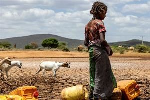 Siccità e alluvioni, 50 milioni rischiano di morire di fame nel Corno d'Africa
