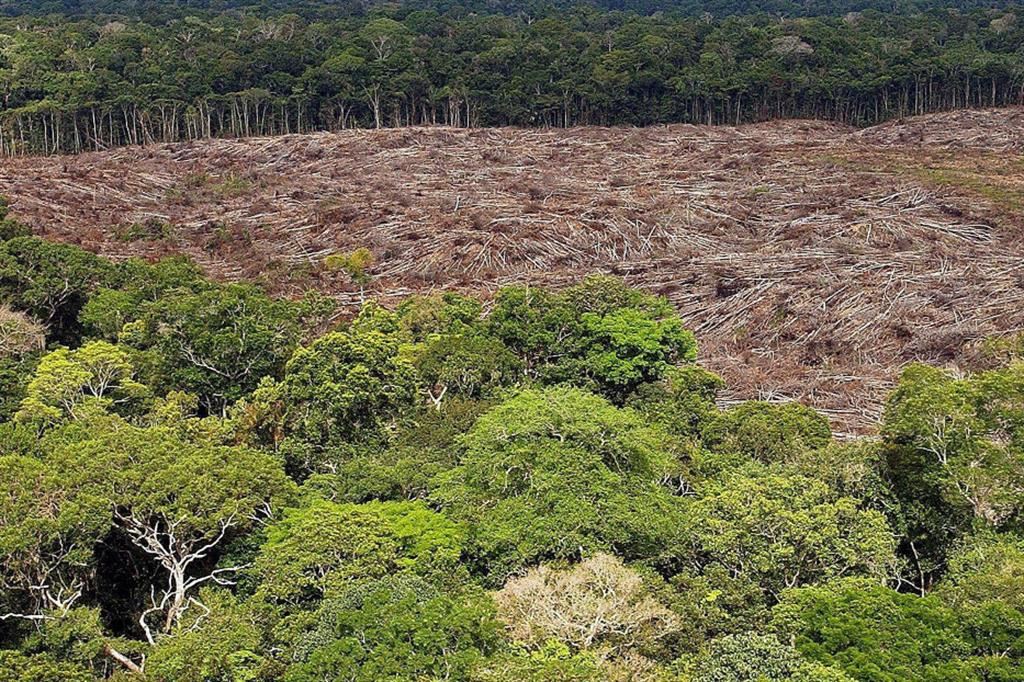 I leader peruviani uccisi nel 2014 lottavano contro il disboscamento illegale