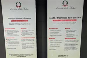 «Dengue, in Italia situazione sotto controllo»