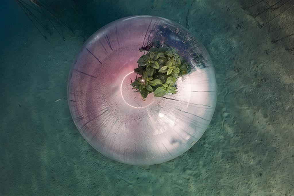 Biosphere Underwater, Farming #3, Italia, 2021.   Si tratta del primo esperimento al mondo di agricoltura subacquea, situato a Noli, in Liguria. Il progetto è nato nel 2012 per ricreare le condizioni ideali di coltivazione del basilico - Luca Locatelli