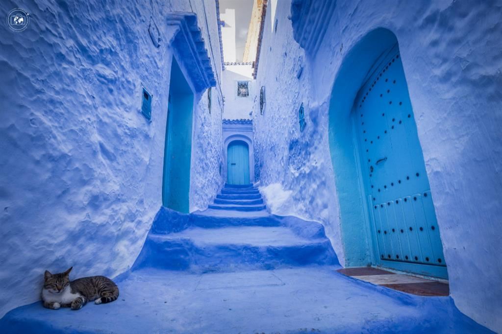 Il villaggio di Chefchaouen, la perla blu del Marocco - © Stefano Tiozzo