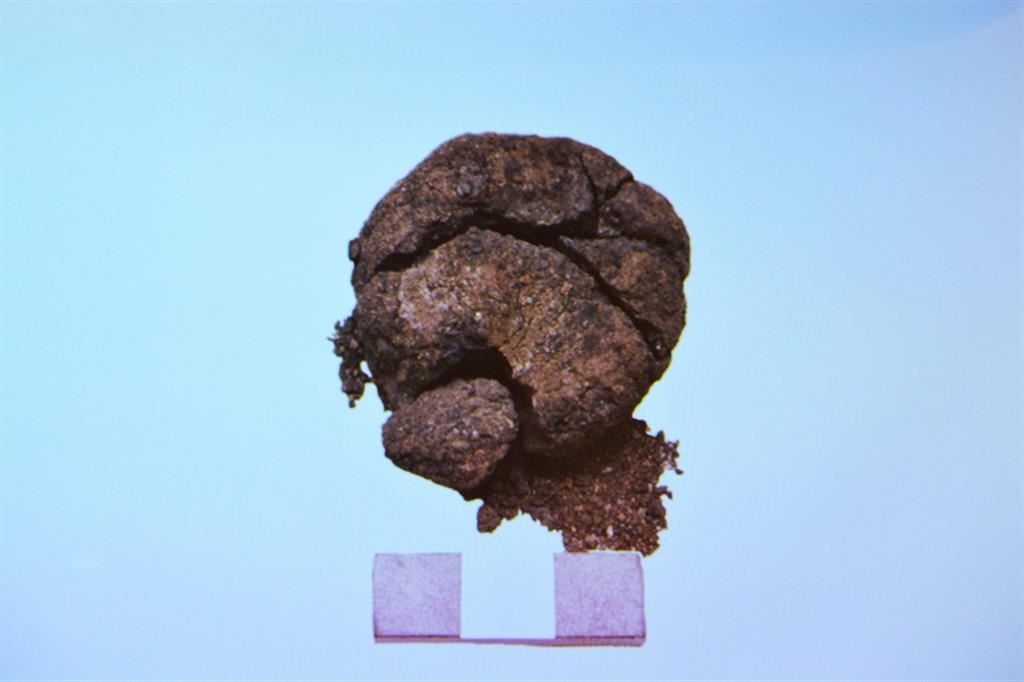 Ritrovato nel sito neolitico di Çatalhöyük in Anatolia del pane fermentato del 6600 a.C.