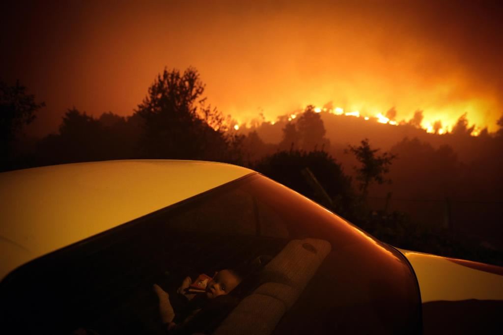 Boschi in fiamme in Portogallo la scorsa estate